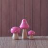 3Pcs/Set Miniatures Wooden Painting Mushroom Ornaments Crafts Kids Gift for Desk