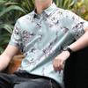 Printed Shirt Men's Short-sleeved Summer Ice Silk Half-sleeved Tide Ins Loose Thin Section Shirt