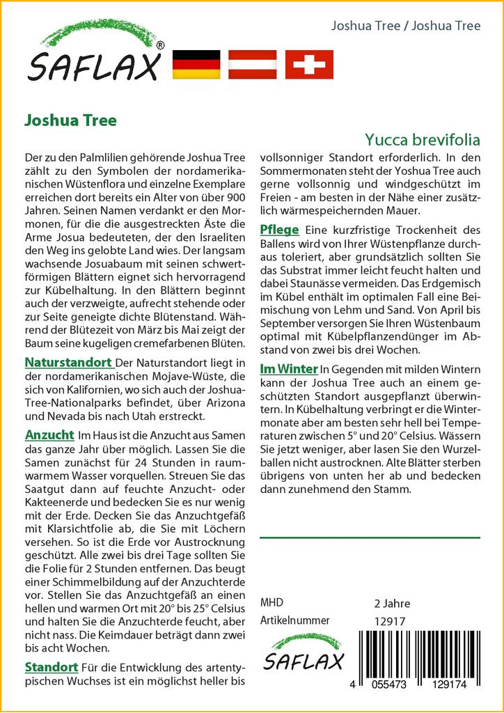 SAFLAX Joshua Tree - 10 semen - Yucca brevifolia