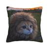 Cat Memes Funny Meme Print Pillow Cover Custom Cushion Cover Kawaii Pillow Case For Living Room Chair