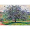 Apple Tree 1879 Jigsaw Puzzle HS1014-849