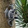 Solar-Powered Dragon Statue Outdoor Garden Ornament with LED Glow Weather-Resistant Resin Fantasy Decor for Patio Wall Fence Lighting