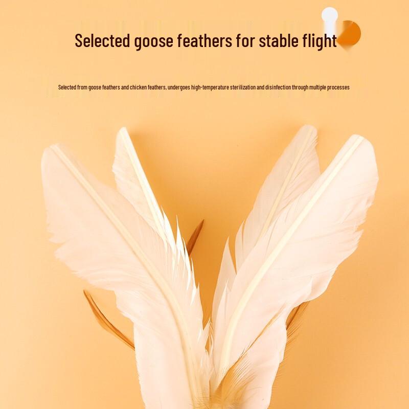Jianzi Feather Shuttlecocks