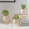 Light Luxury Home Decorative Hydroponic Vase for Office Desktop, Green Plant Container for Table Decoration