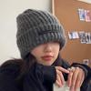 Korean Hats for Women In Autumn and Winter Fashionable and Versatile Plus Velvet Thickened Warm Windproof Wool Hat Outdoor Cold Proof Hat