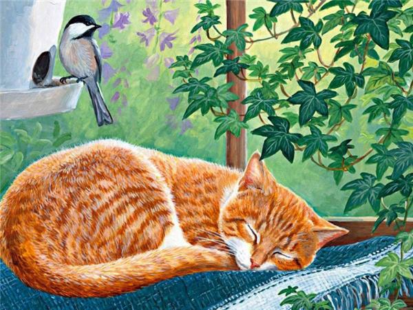 Diamond Painting Cat Cross Stitch Kits Diamond Embroidery Animal Full Drill Square Mosaic Flower Rhinestones Home Decor