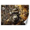 Papel de parede macaco com óculos