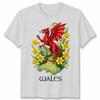 St Davids Day Welsh Flag Dragon Daffodil Wales Festival T Shirt Mens Kids Unisex