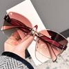 New Large Cat Eye Fashion Sunglasses for Women UV Protection Trendy Without Frame Cutting Edge DS-8208