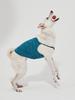 Arumaru Pet Tank Top_Blue