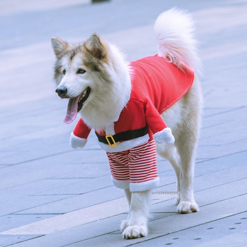 Vinterjul Hunddräkter Roliga Jultomtekläder För Små Mellanstora Husdjur Jul Nyårskläder Katt Kattunge Utstyrslar