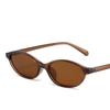 Classic Retro Oval Cat Eye Small Frame Fashion Glasses S Style Metal Frame with Hinge Decoration