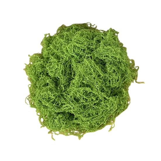 30/100G Konstgjord Grön Mossa DIY Hantverk Inomhusväxter Sagoträdgårdar Bordsdekorationer Akvarier Mikrolandskap Dekorativ Falsk Mossa