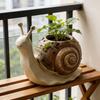 Resin Snail Planter Cartoon Creature Planter Multi-functional Succulent Pot Office