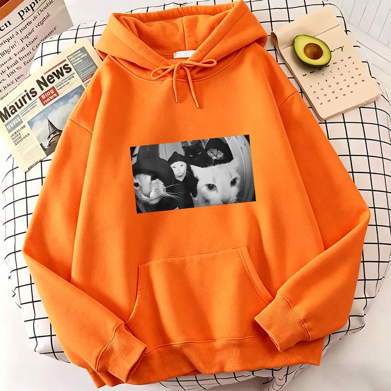 Felpe con cappuccio con stampa di gatti Hip Hop Primavera Autunno Inverno Felpe casual Felpe Uomo Donna Top Streetwear