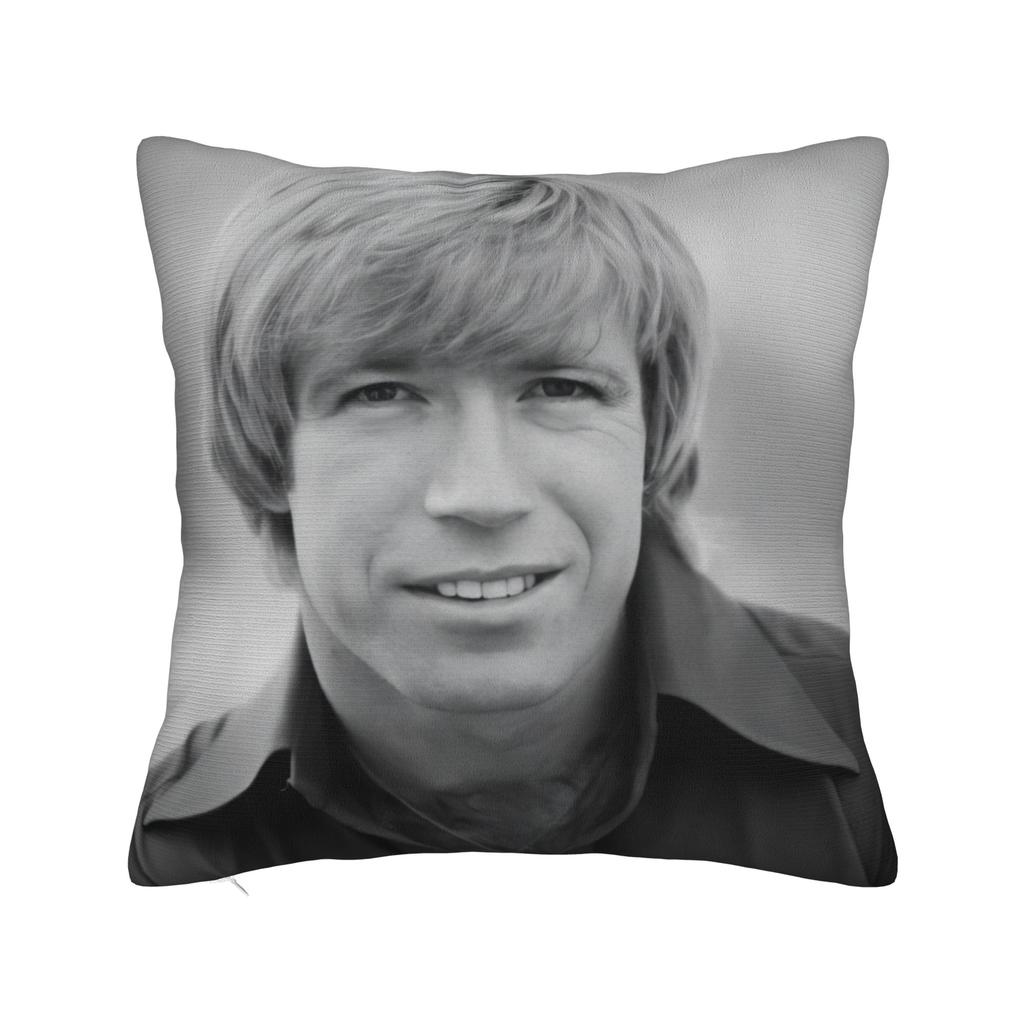 Pillow Cover Chuck Norris(1) Funny Pillow Case For Living Room Bed Chair Pillowcases