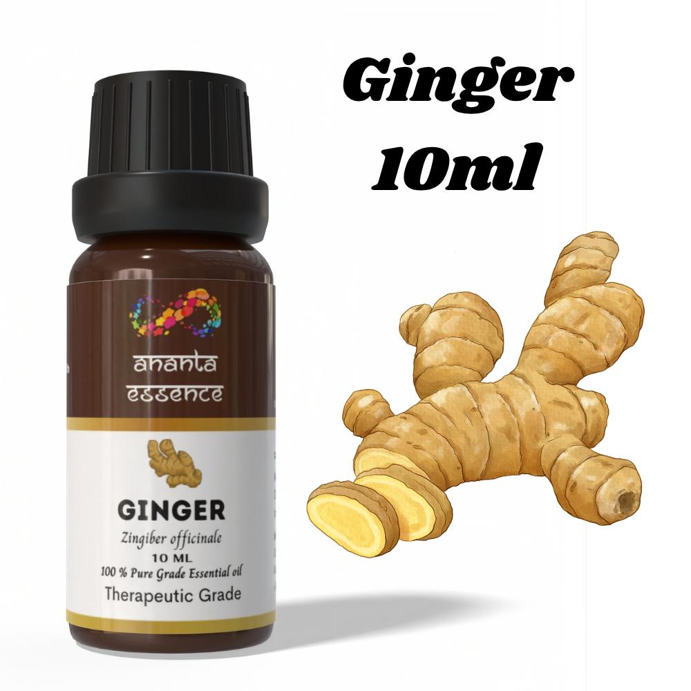 Óleo Essencial de Gengibre Ananta 10 ml | Óleo Aromático Zingiber Officinale | Óleo Essencial Quente Picante