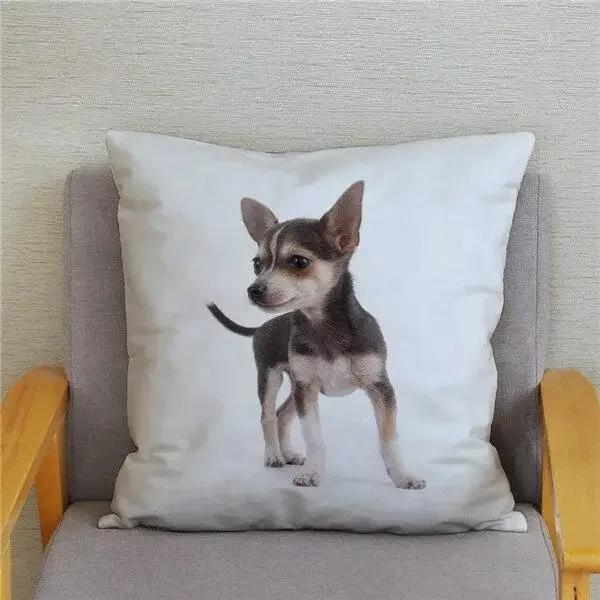 Schattige Mini Chihuahua Hond Bedrukte Kussensloop Kussenhoes Knuffelkussenhoes Bank Huisdecoratie Kussensloop