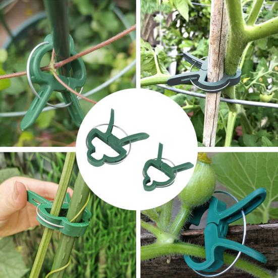 20Pcs Plant Fixing Clips Heavy Duty Weather-proof Universal Indoor Outdoor Garden Climbing Plants Flowers Stems Support Plastic