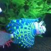 1PC Artificial Luminous Lionfish Fish Tank Aquatic Landscape Silicone Jellyfish Fish