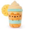 Pusheen Fruits Abacaxi Float