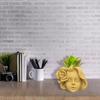 Geometric 3D Rose Girl Gypsum Silicone Molds Storage Box Mold for Making Succulent Plant Pot Flower Pot Pen Holder