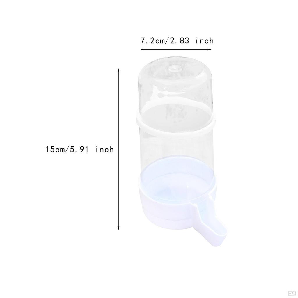 Bird Feeder Food Dispenser Viewing Clear Bowl Small Animal for Canary Finch