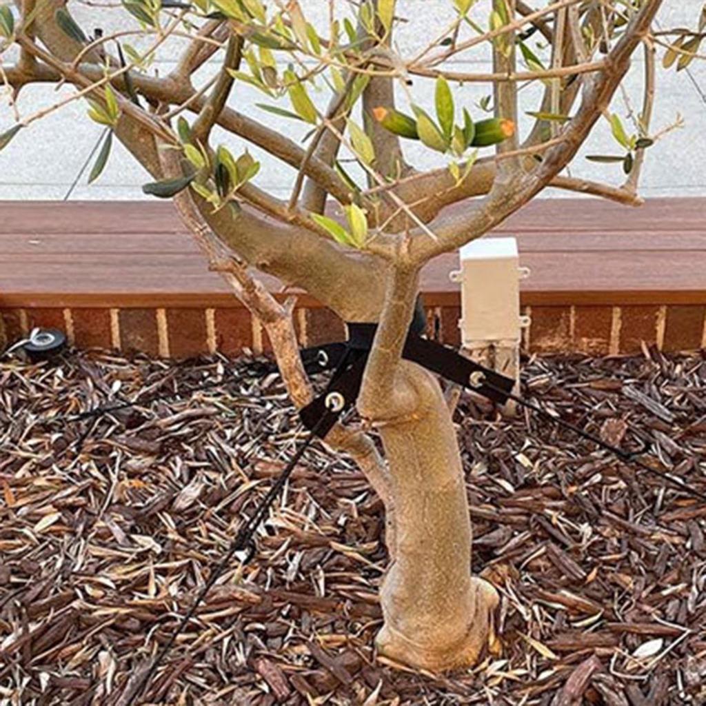4Pcs Windproof Tree Belt Garden Plants Support Tree Belt Staking Strap Anti-Hurricane Stereotyped Nylon Fixed Strap