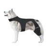 Adjustable Dog Knee Brace Leg Protectors Breathable Neoprene Joint Support Sleeve For Active Senior Pet Post Surgeries