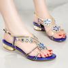 Fashion New Summer Banquet Women's Peep Toe Sandals Leather Diamond Low Heel Fashion Versatile Outdoor Anti-slip Beach Shoes