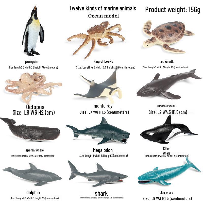 Children's Early Education Ocean Fish Model Toy: Megalodon, Whale Shark, Tuna