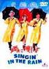 DVD DVD - Singin' In the Rain  Japan Movies & DVD Used