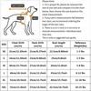 1PC Sleeveless Printed Cat Dog Vests Lightweight Breathable Elastic Pet Apparel for Indoor Outdoor Daily Use