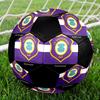 SIZE 5 FC Erzgebirge Aue Soccer Ball Colorful All Ages Machine Stitched PVC Competition Ready Durable High-Bounce