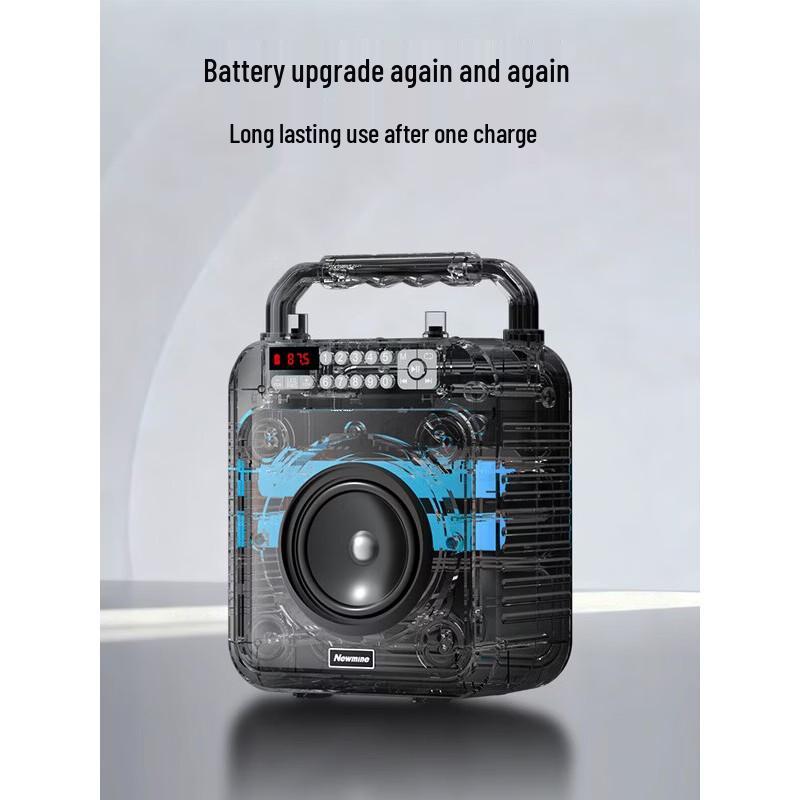 Newmine K522 Portable Bluetooth KTV Speaker with Dual Microphones CN Plug (adapter Included) (CN Version)