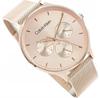 Watch Calvin Klein TIMELESS MESH MF 25200102