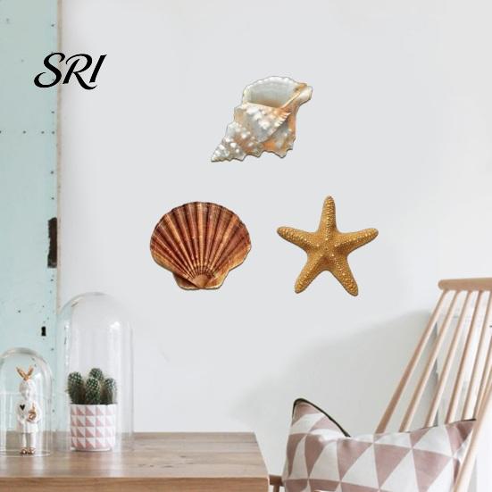 Rustic Wall Hanging 3 Pcs Beach Decor Wooden Seashell Starfish Decoration Coastal Home Ocean Nautical Art for Living Room Bathroom Balcony Themed