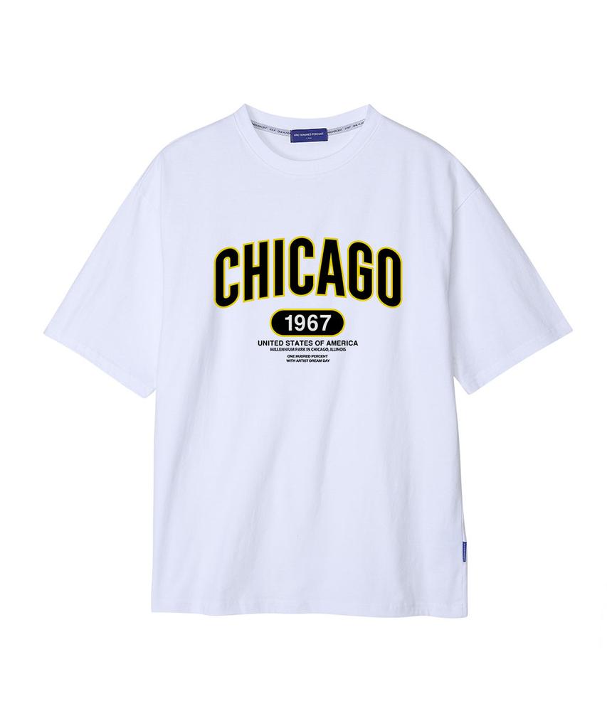OHP Ohp X Dreamday Chicago Millennium Park Semi-Oversized Short Sleeve Tee