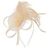 1 Stück Haarband Kopfschmuck Feder Haarschmuck Stirnband Elegant Damen Vintage Damen Netz