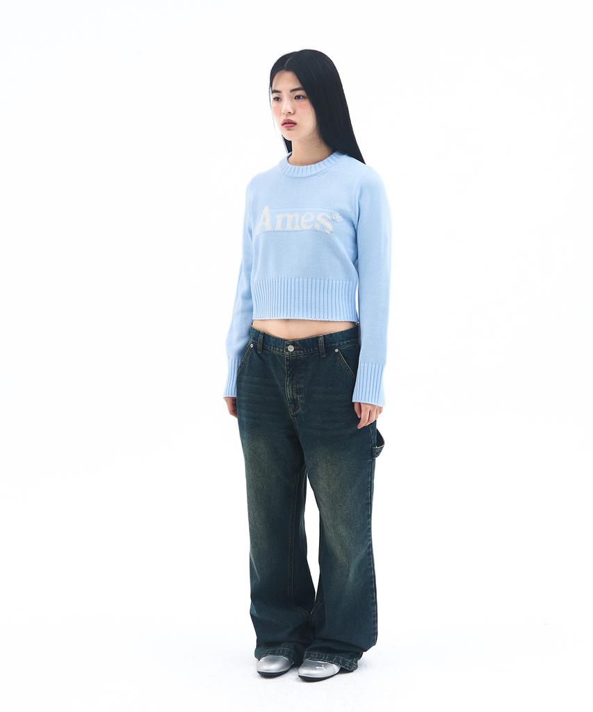 AMES-WORLDWIDE Basic Pullover Knit Light Blue