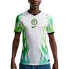 Nike Dri-Fit 2026 Season Nigeria Away Fan Edition Color Block Quick-Dry Pullover Short Sleeve Football Shirt Men Tops IB5376-100