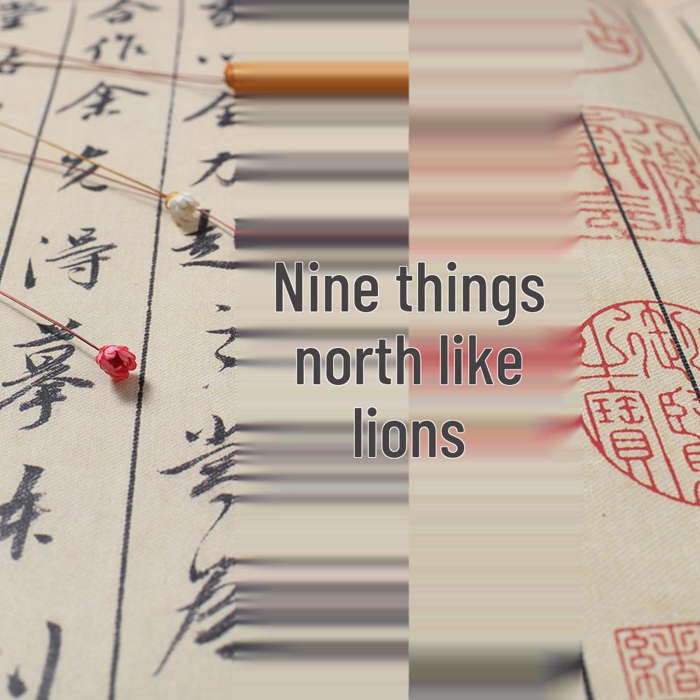 Chinese Calligraphy Practice Book: Mi Fu, Shu Su Tie, Tian Xi Shi Stele Rubbings