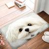 1pc soft and comfortable cartoon cat door mat, bedroom small carpet, entrance door mat, living room floor mat, hand washable mat
