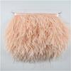 10 Mètres Plumes d'Autruche Colorées sur Passepoil Ruban 8-10 cm Franges de Jupe sur Bande Garnitures Plumes d'Autruche Garnitures de Couture Décoration