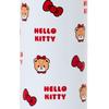 Sanrio Hello Kitty Stainless Steel Mug Bottle 617407 Face-Shaped