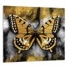 PANEL SZKLANY DO KUCHNI 65x60 Motyl