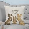 PC Happy Easter Bunny Pattern Pillow Decorative sofa cushion cover home decoration D printing