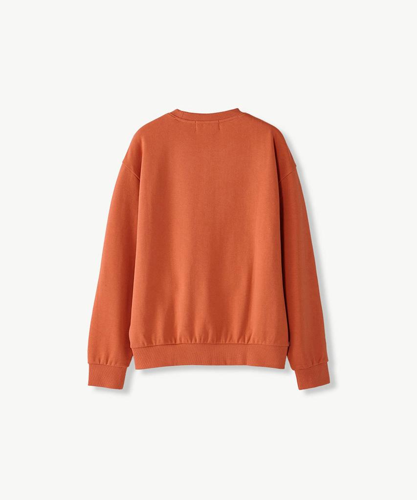 STCO Diems Small Lettering Embroidered Sweatshirt_Orange (Oversized)_Dtsva64Cso
