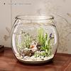 Transparent Aquariums Round Ornamental Fish Tank Clear Guppy Tank Goldfish Fish Bowl Home Desk Decor Aquarium Hydroponic Planter