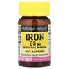 Eisen, 65 mg, 100 Tabletten